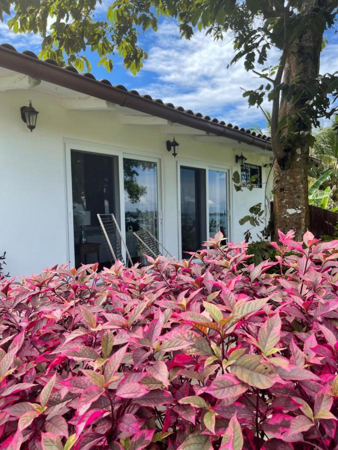 Boca Brava Paradise Panzió Boca Chica Kültér fotó