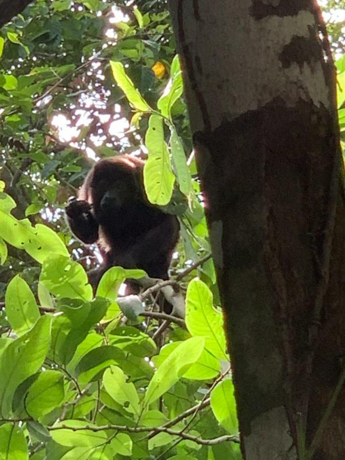 Boca Brava Paradise Panzió Boca Chica Kültér fotó