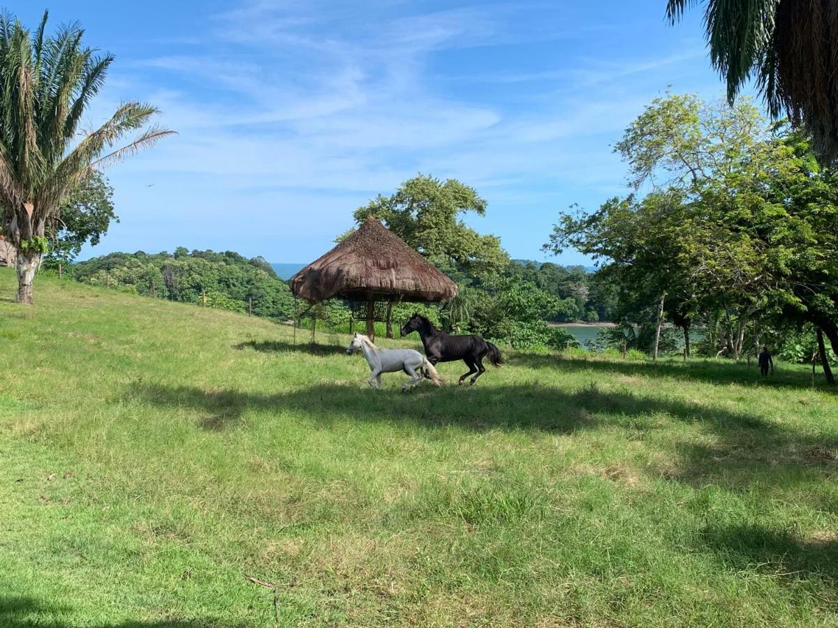 Boca Brava Paradise Panzió Boca Chica Kültér fotó